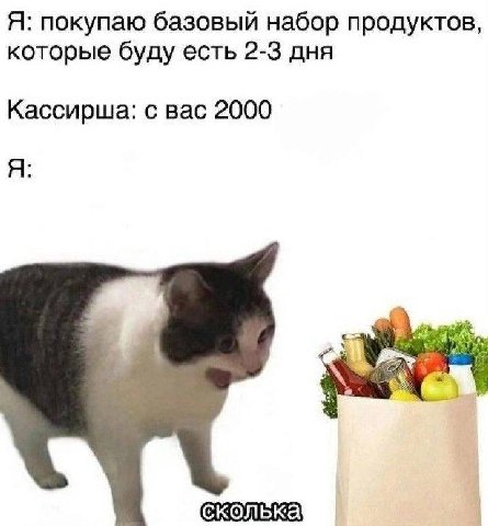 Я: покупаю базовый набор продуктов, которые буду есть 2-3 дня Кассирша: с вас 2000 Я