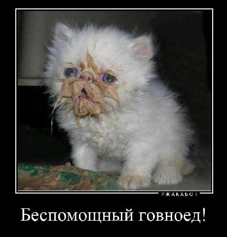 РЖАКАБОТ Беспомощный говноед!
