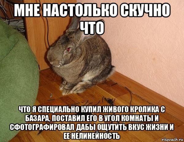 MHE НАСТОЛЬКО СКУЧНО. что ЧТО Я СПЕЦИАЛЬНО НУПИЛ ЖИВОГО КРОЛИКА С БАЗАРА, ПОСТАВИЛ ЕГО В УГОЛ КОМНАТЫ! И СФОТОГРАФИРОВАЛ ДАБЫ ОЩУТИТЬ ВНУС ЖИЗНИИ ЕЕНЕЛИНЕИНОСТЬ h.ru