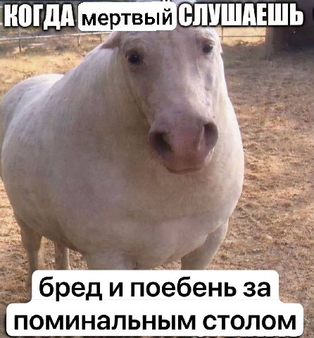 КОГДА СЛУШАЕШЬ бред и поебень за поминальным столом