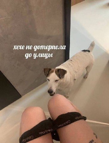 хехе не дотерпела до улицы