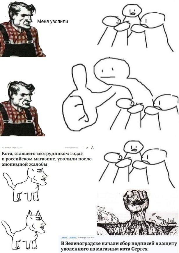 Меня уволили №7 a> А А Кота, ставшего «сотрудником года» в россииском магазине, уволили после анонимной жалобы У В Зеленоградске начали сбор подписей в защиту уволенного из магазина кота Сергея