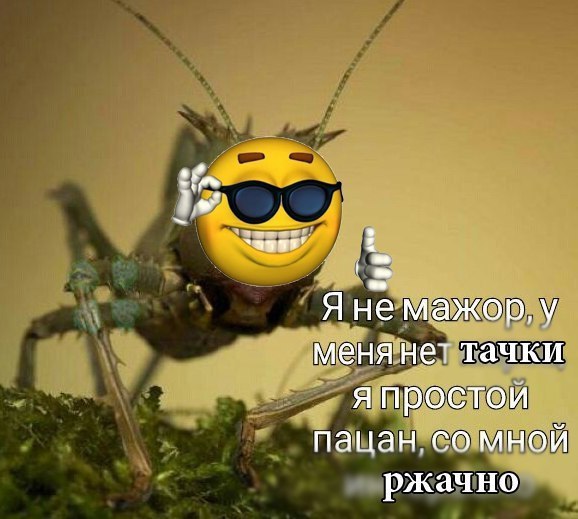 Я не мажор, у менянет тачки я простои пацан. мной ржачно