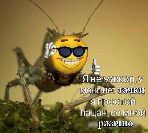 Я не мажор, у менянет тачки я простои пацан. мной ржачно