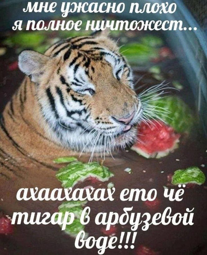 👤 - -
