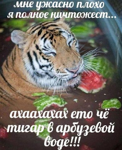 👤 - -