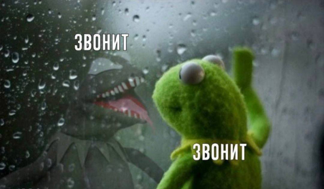 ЗВОНИТ ЗВОНИТ