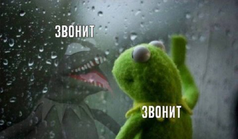 ЗВОНИТ ЗВОНИТ