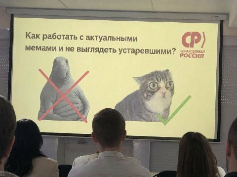 Как работать с актуальными мемами и не выглядеть устаревшими? 4 Thi