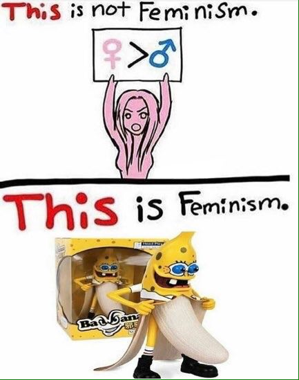 This is Not Fem nism. Thi 1$ Feminism.