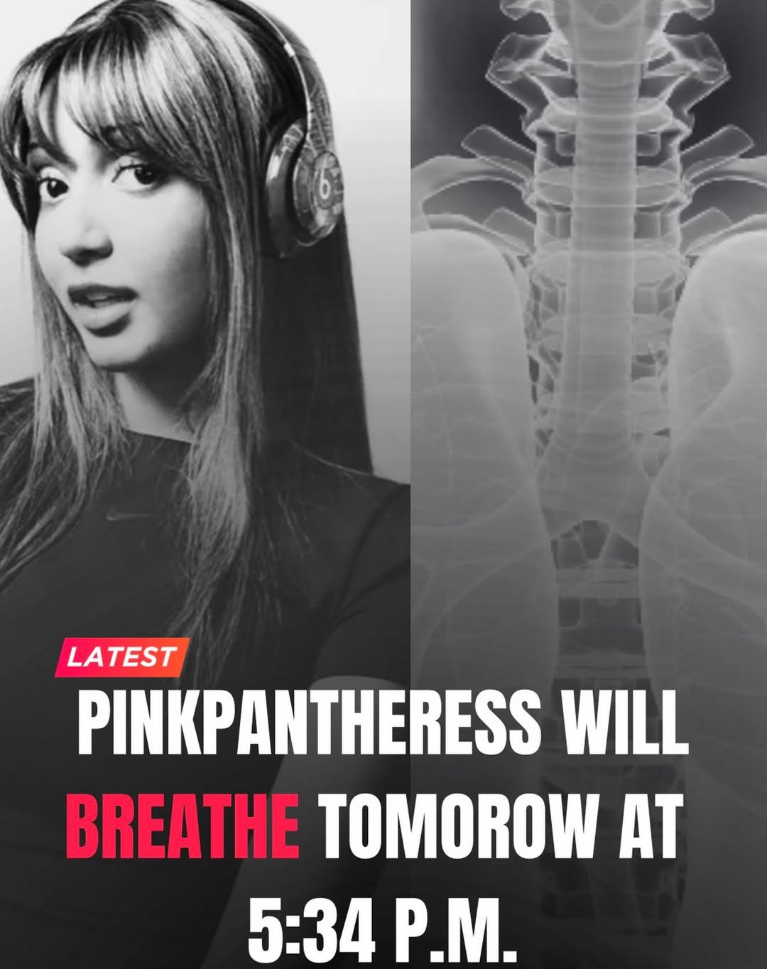 PINKPANTHERESS WILL TOMOROW AT 5:34
