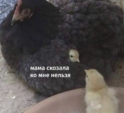 мама скозала мне нельзя