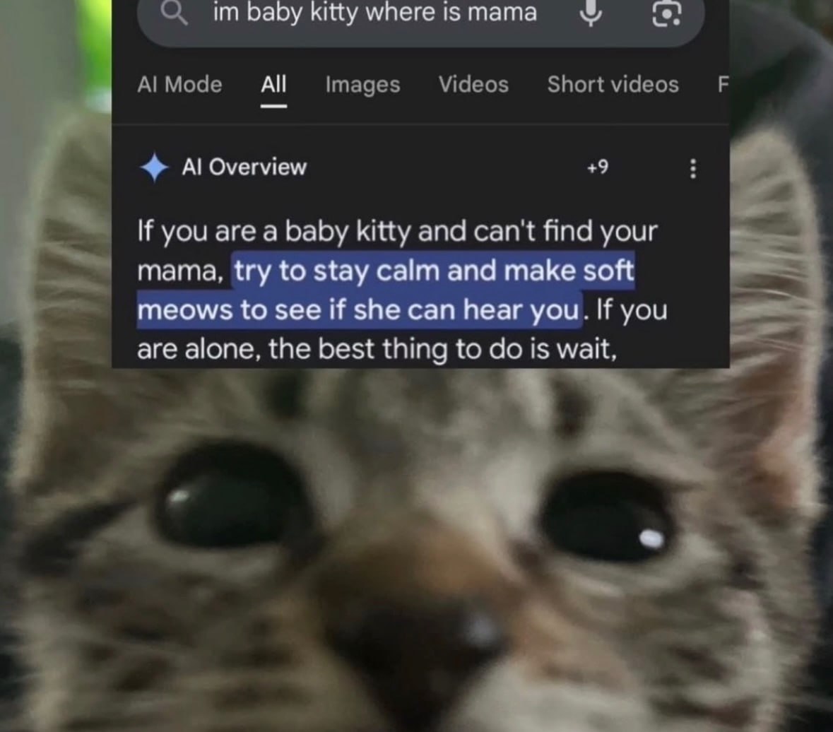 baby КЩу All Overview +9 If you are a baby kitty and can't find your mama. try to stay calm and make soft meows to see if she can hear you. If you are alone, the best thing to is wait.