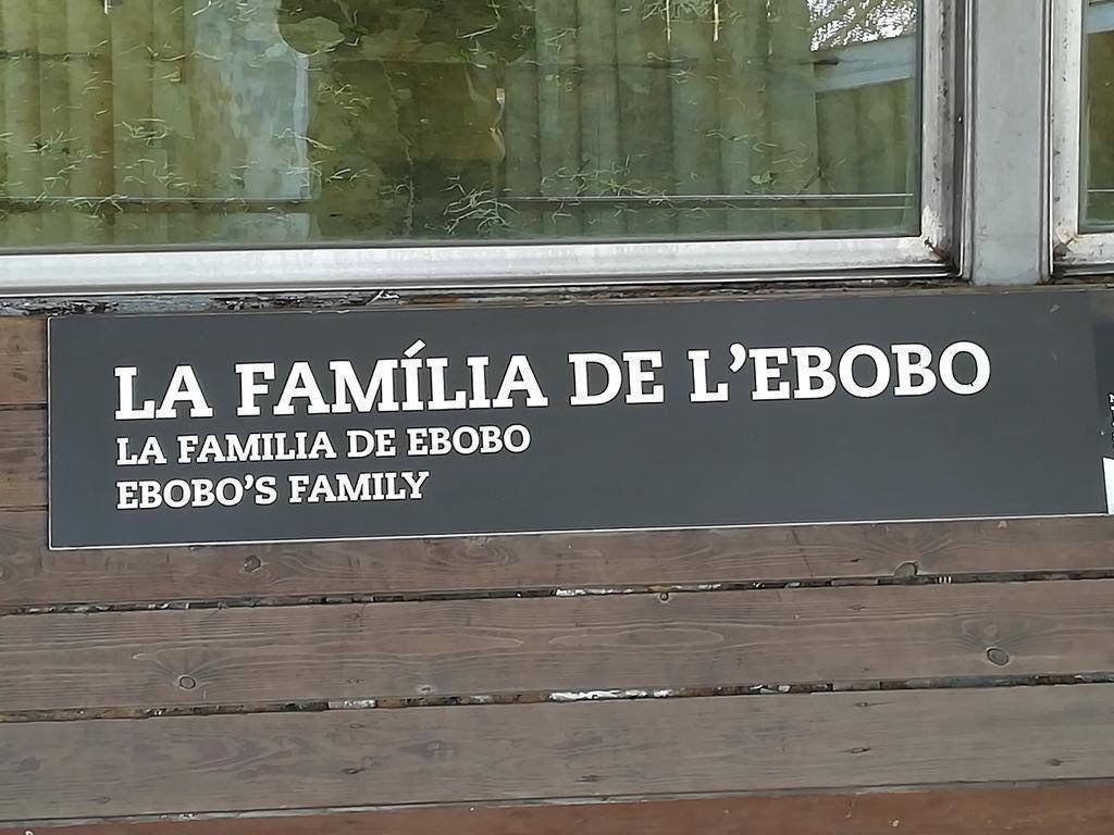 FAMILIA ГЕВОВО FAMILIA EBOBO EBOBO’S FAMILY