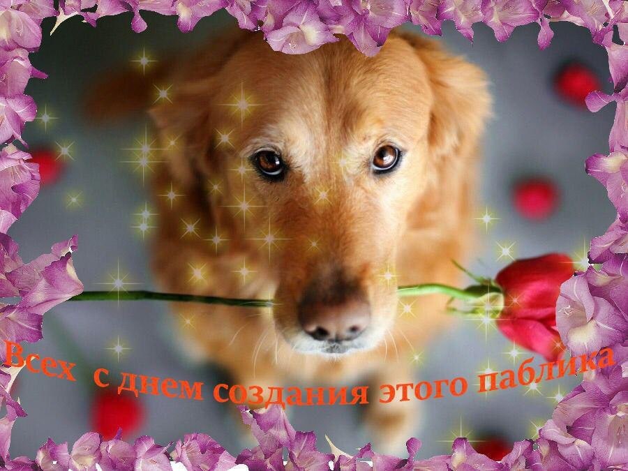 я К 10 ж ж awed 4 2