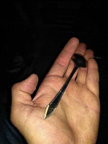 7 a A 3 A 1 1