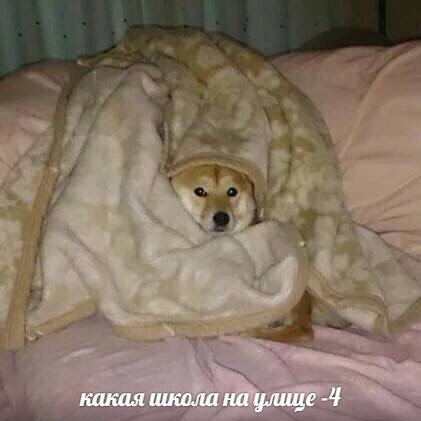 какая школа на улице -4