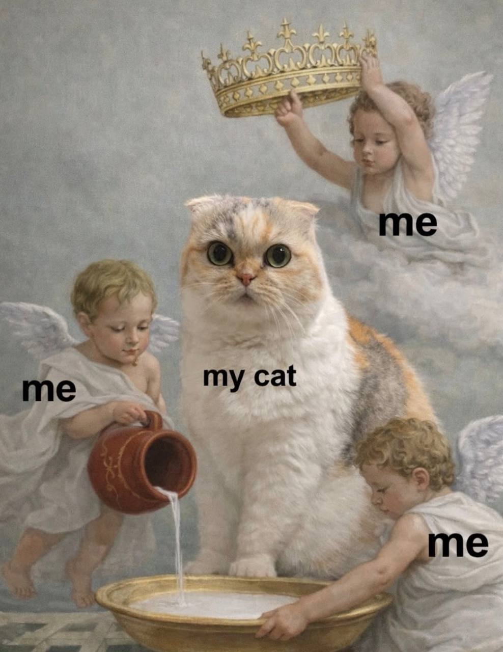 a me my cat
