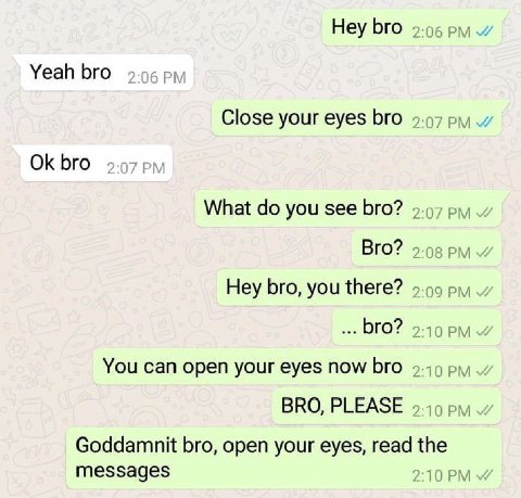 Hey bro Yeah bro 9-96 Close your eyes bro 9.97 bro What you see bro? 9.97 Bro? 9-08 Hey bro, you there? 9.99 ОГО? 2-10 You can open your eyes now bro 9.49 pyy BRO, PLEASE 9.19 Goddamnit bro, open your