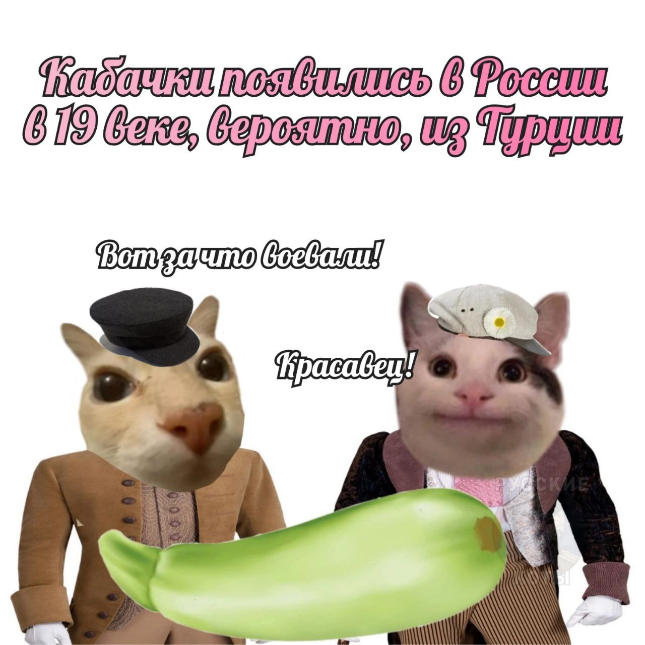 [9 bans, то 1%