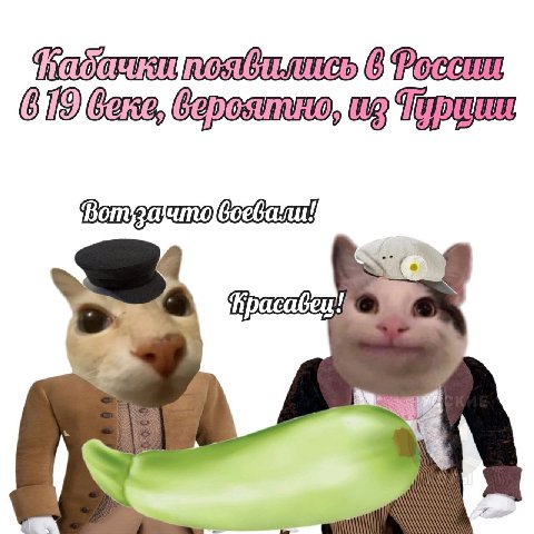 [9 bans, то 1%