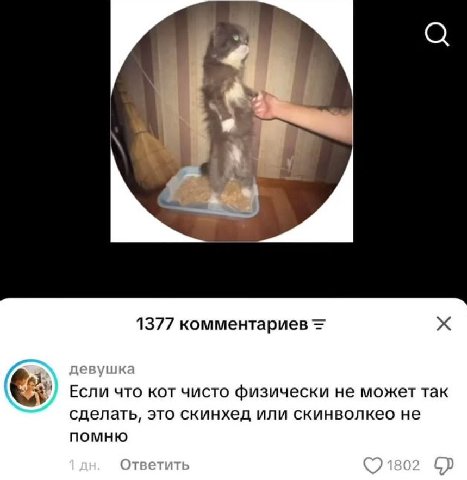 и у 1377 комментариев 3 девушка Если что кот чисто физически не может так сделать, это скинхед или скинволкео не помню Ответить 180: