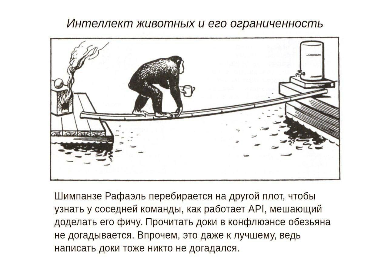 Интеллект животных и его ограниченность a NSS Шимпанзе Рафаэль перебирается на другой плот, чтобы узнать у соседней команды, как работает API, мешающий доделать его фичу. Прочитать доки в конфлюэнсе о