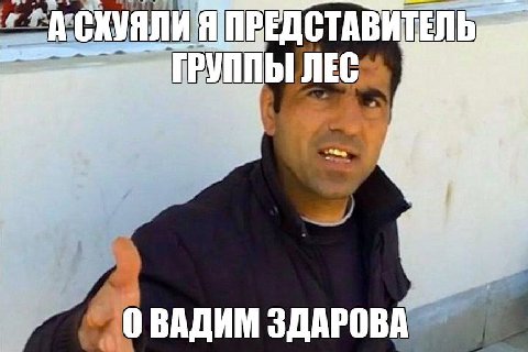АСКУЯЛИЯ ПРЕДСТАВИТЕЛЬ