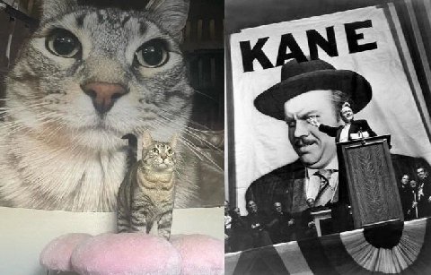 KANE в в, 4