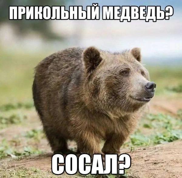 СОСАЛ