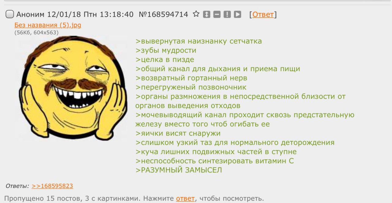 Аноним 12/01/18 Птн 13:18:40 №168594714 [Ответ] Без названия (5).jpg >вывернутая наизнанку сетчатка >зубы мудрости >целка в пизде >общий канал для дыхания и приема пищи >возвратный гортанный нерв >пер