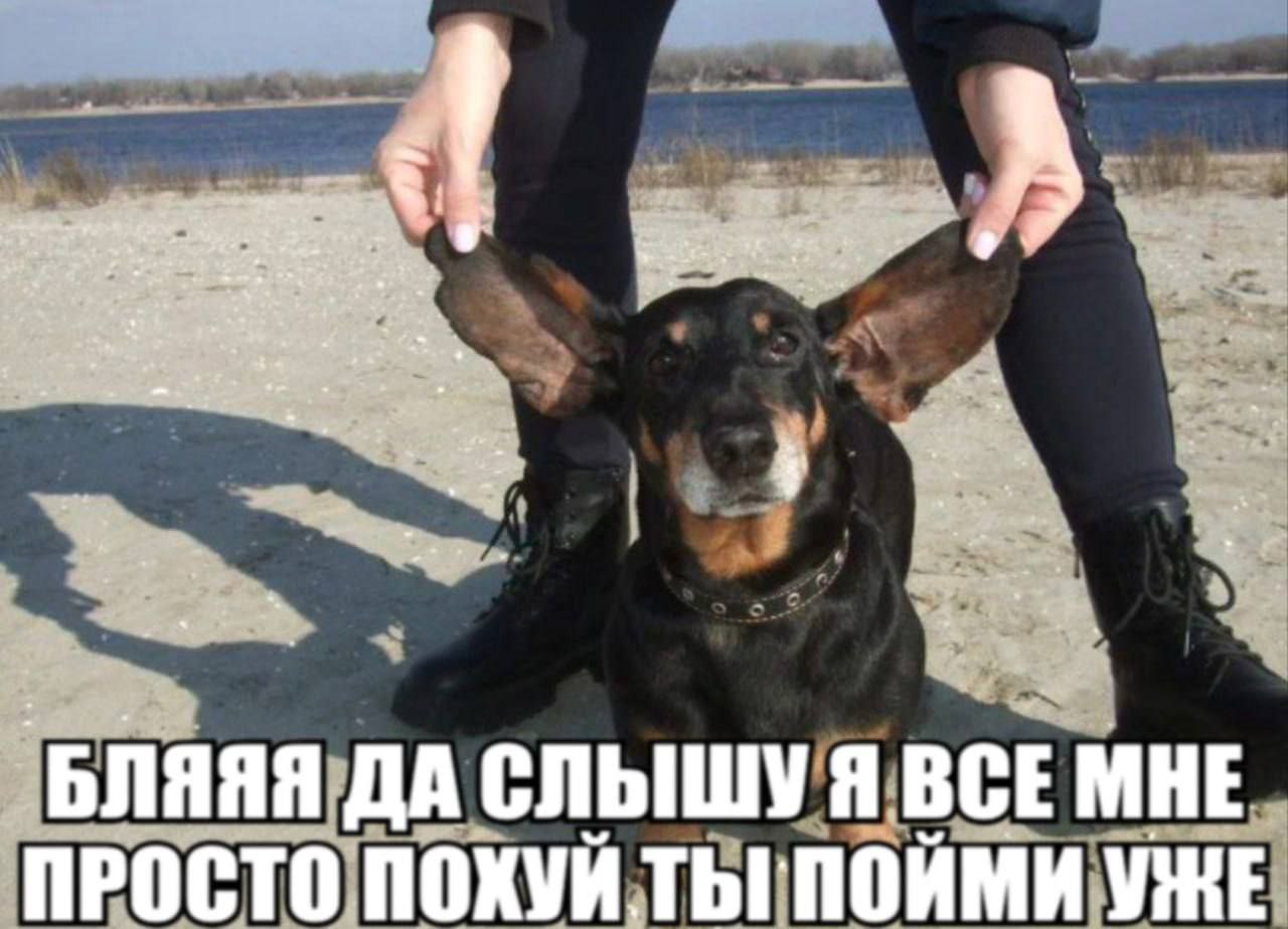 we 2 9 on `БЛЯЯЯ ДА СЛЫШУ Я BCE МНЕ ПРОСТО ПОХУЙ Thi