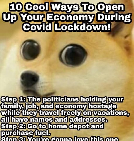 pen Up Your Economy During Covid Lockdown! ‘Step 1: The politicians family, job, and economy hostage while they travel freely on vacations, names and addresses. Step 2: to home depot and purchase fuel