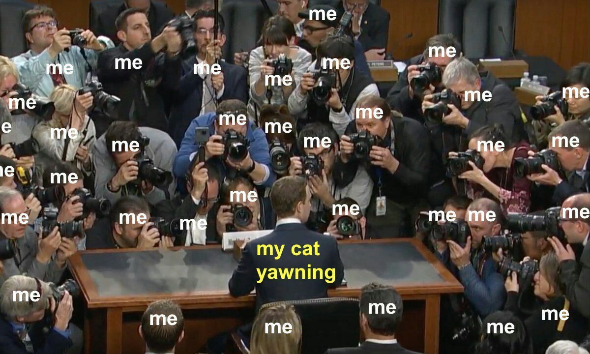 me ame me me me= me me me me me me me me me me yawning me me me me me me