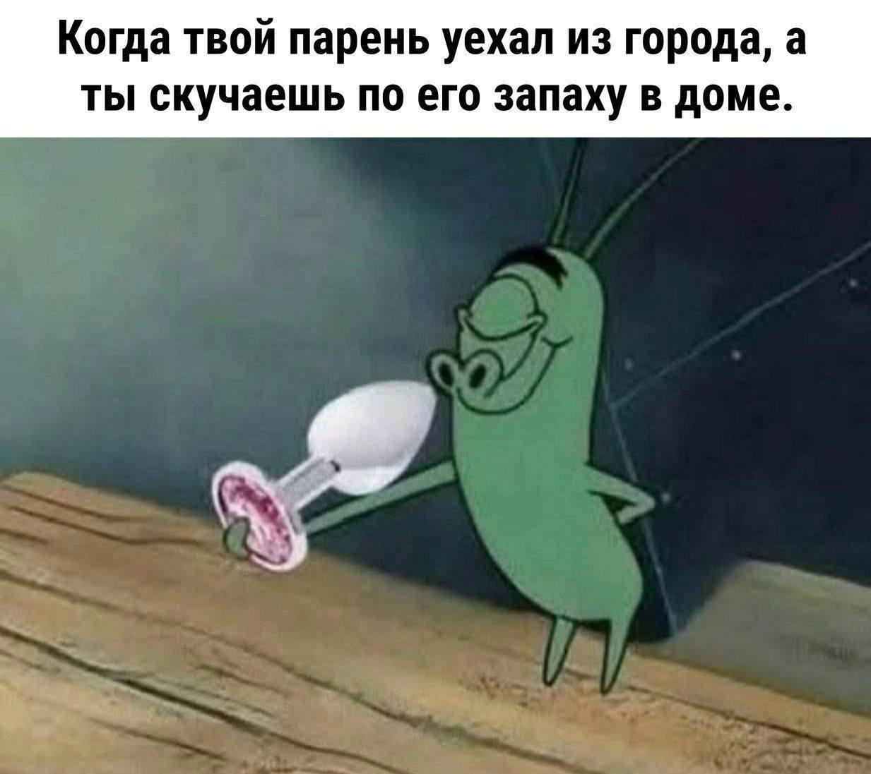 Когда твой парень уехал из города, а ты скучаешь по его запаху в доме.