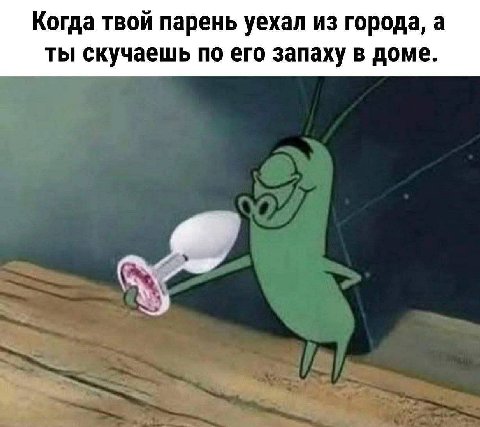 Когда твой парень уехал из города, а ты скучаешь по его запаху в доме.