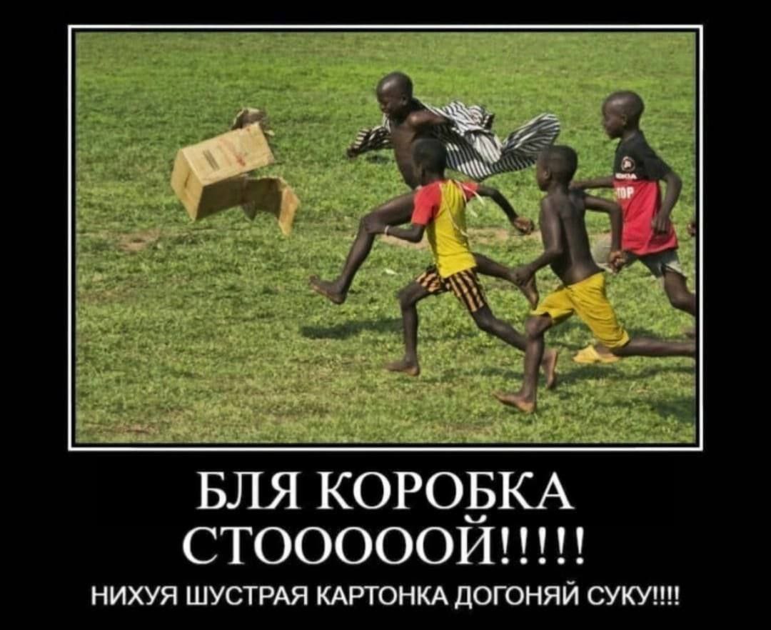 БЛЯ КОРОБКА СТОООООЙ!!!!! НИХУЯ ШУСТРАЯ КАРТОНКА ДОГОНЯИ СУКУНН