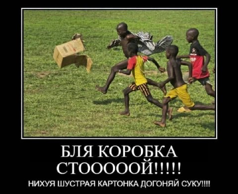 БЛЯ КОРОБКА СТОООООЙ!!!!! НИХУЯ ШУСТРАЯ КАРТОНКА ДОГОНЯИ СУКУНН