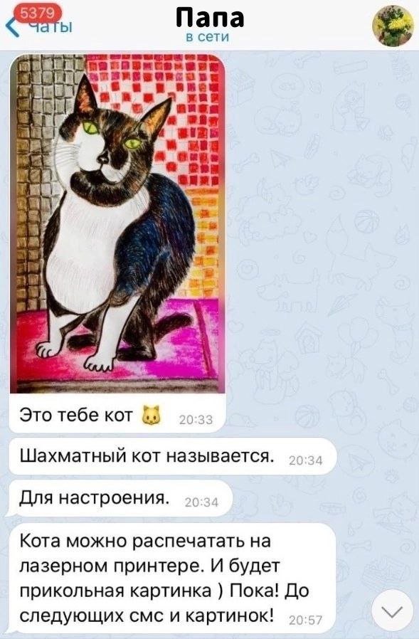 Папа в сети ane у Это тебе кот Шахматный кот называется. 29-24 Для настроения. Кота можно распечатать на лазерном принтере. И будет прикольная картинка Пока! До следующих смс и картинок! 95:5
