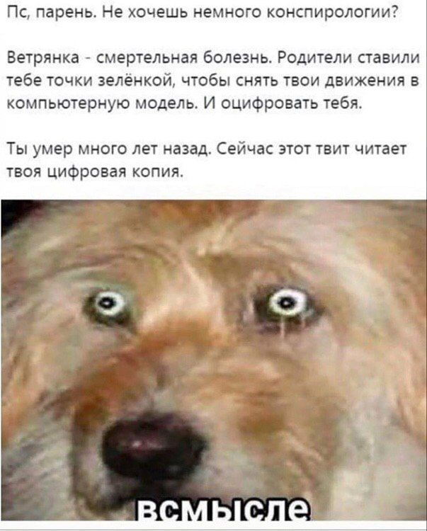 парень. Не хочешь немного конспирологии? Ветрянка смертельная болезнь. Родители ставили тебе точки зелёнкой, чтобы снять твои движения в компьютерную модель. И оцифровать тебя. Ты умер много лет назад