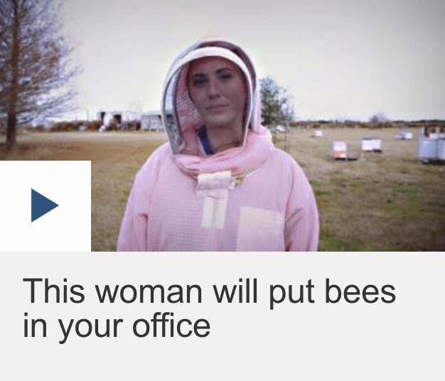 This woman will put bees in your office