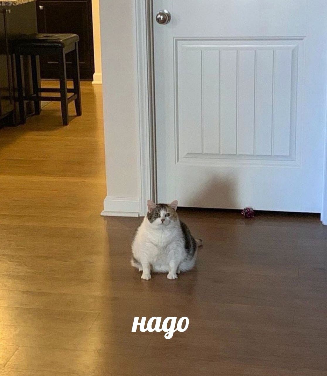 надо