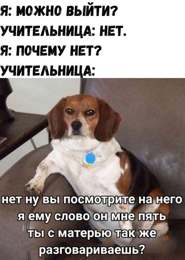 Я: МОЖНО ВЫЙТИ? УЧИТЕЛЬНИЦА: НЕТ. Я: ПОЧЕМУ НЕТ? УЧИТЕЛЬНИЦА: нет ну ВЫ посмотрите нанего с матерьютак же” разговариваешь?