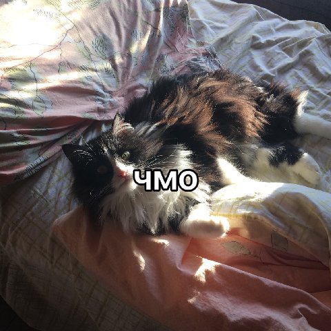 a