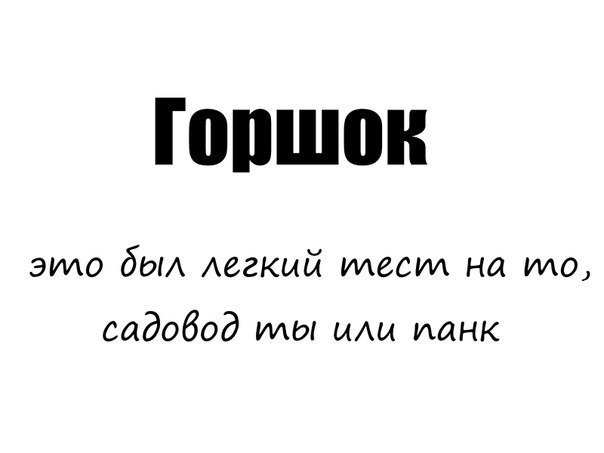 Горшок эило дыл легкий илесил на ило, садовод илы или панк