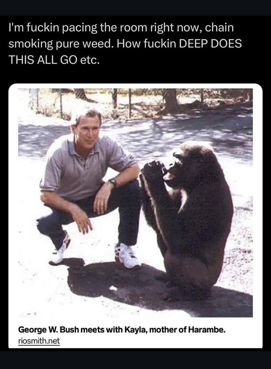 fuckin pacing the room right now, chain smoking pure weed. How fuckin DEEP DOES THIS ALL etc. у George Bush meets with Kayla, mother of Harambe. riosmith.net