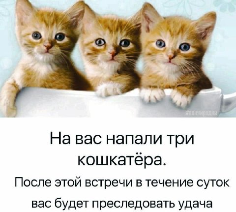 4 На вас напали три кошкатёра. После этой встречи в течение суток вас будет преследовать удача