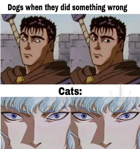 Dogs when they did something wrong Cats: