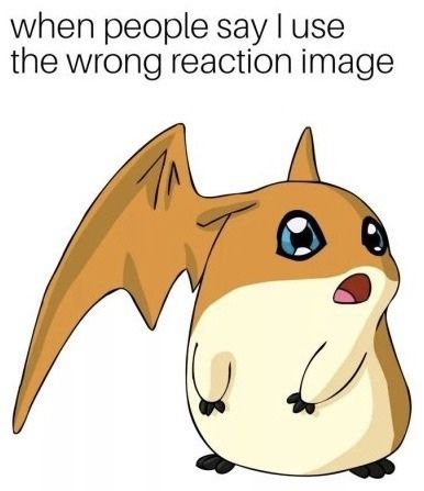 when people say use the wrong reaction image