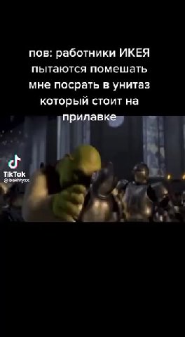 пов: работники ИКЕЯ пытаются помешать мне посрать в унитаз который стоит на прилавке